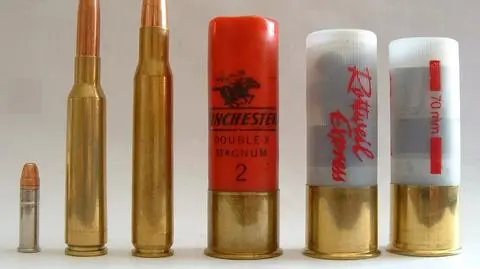 Pastor posiedzi za przemyt amunicji