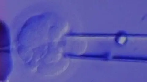 "Z in vitro trzeba się spowiadać"