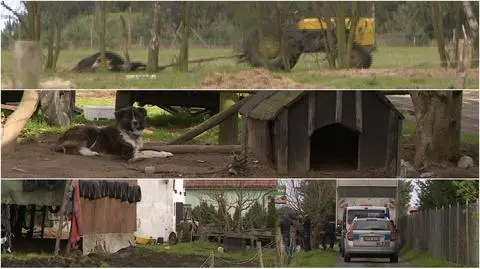 Zarzuty za znęcanie się nad zwierzętami