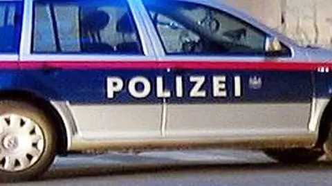 Austria: seria utonięć w gnojówce