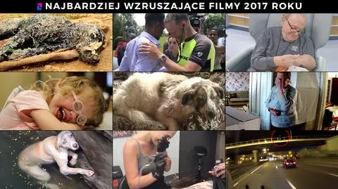 Zebraliśmy dla was najbardziej wzruszające historie 2017 roku