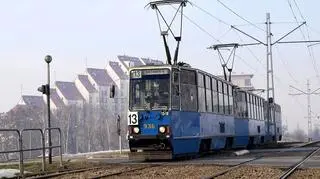 Kierowcy pojadą za darmo autobusami i tramwajami