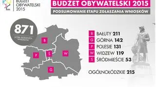 Łodzianie mają do wydania 40 milionów złotych 