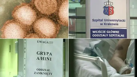 Świńska grypa w Krakowie, zachorowało siedem osób