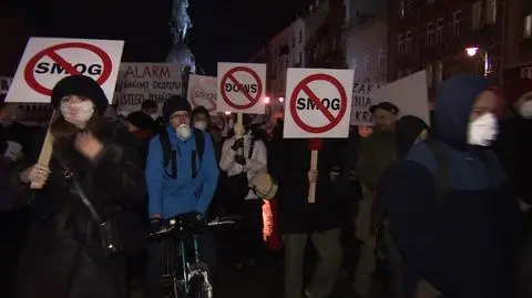 Smog wawelski