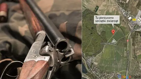 Ktoś porzucił resztki zwierząt niedaleko domów. Szukają winnych
