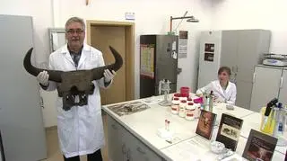W Poznaniu chcą wskrzesić tura