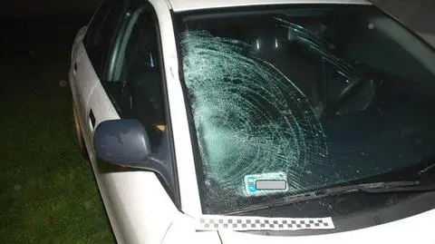 Zabił kobietę na drodze, miał ponad 2,6 promila. Przed policjantami ukrył się w domu