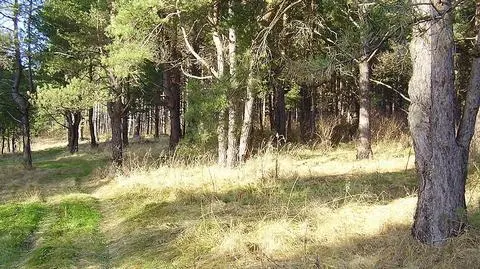 Dolny Śląsk: mniej pieniędzy na ochronę środowiska