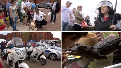 Radiowozy, koncerty i... krokodyle. Łódź świętuje 10 lat w UE