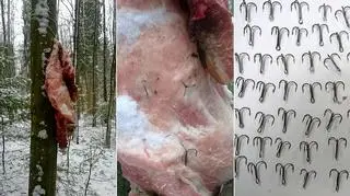 Pułapka miała spowodować długą i bardzo bolesną śmierć