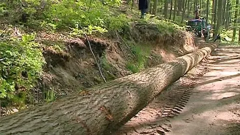Koniec wielkiego cięcia