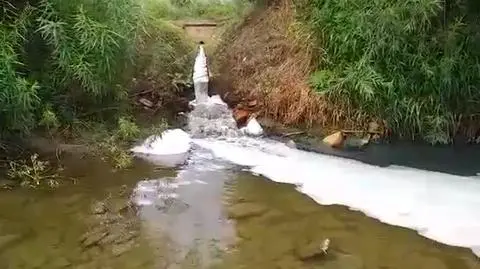 Małopolska. Zanieczyszczenie Dunajca. "Oczyszczalnie nie wyrabia"