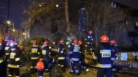 Wiatr przewrócił choinkę pod Oknem Papieskim w Krakowie