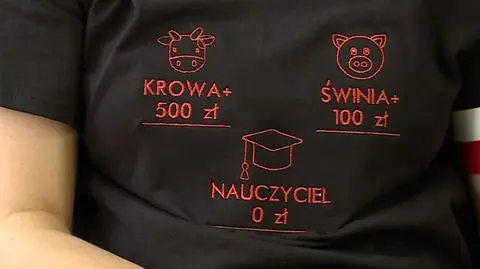 Zapowiedź dopłat do świń i krów stała się symbolem protestu nauczycieli