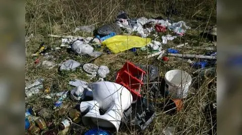 Polish foresters install cameras to stop trash-dumping