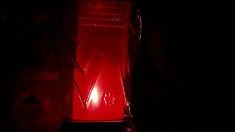 Zabili, bo ktoś zwrócił im uwagę