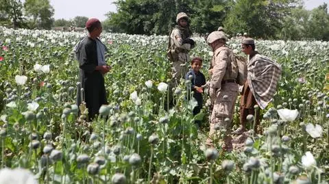 Opium to 10 proc. gospodarki Afganistanu