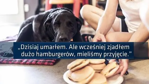 Niezwykły ostatni dzień życia