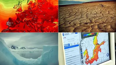 The last four years have seen the highest average temperatures since records began in the 19th century - 2016 was the hottest