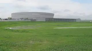 Przed stadionem rośnie trawa