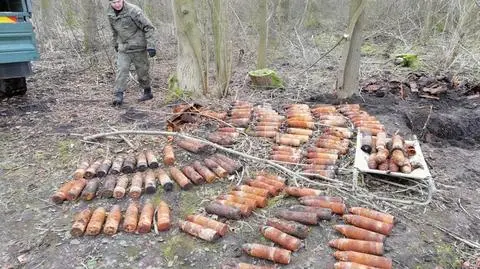 Ponad 160 pocisków odkopali saperzy w lesie pod Kojęcinem