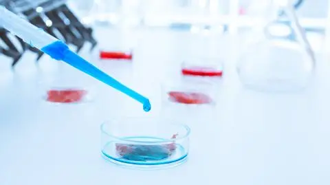 Toczy się spór o in vitro