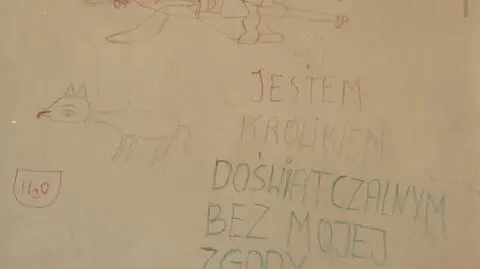 Flamastrami pomazała elewację Sukiennic. 
Wymalowała słońce, księżyc i dziwne hasła 