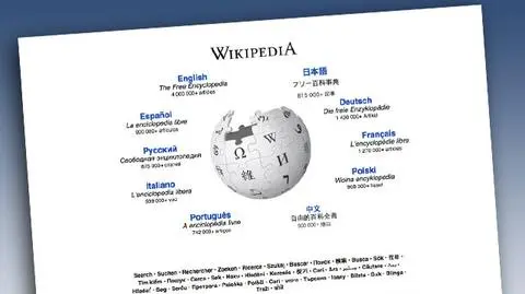 Wielka awaria Wikipedii. Przez przecięte kable