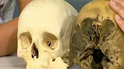 Dotknij czaszki "Gwiezdnego Dziecka"