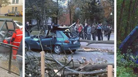 Ludzie pod drzewami, 
wiatr sieje zniszczenie
