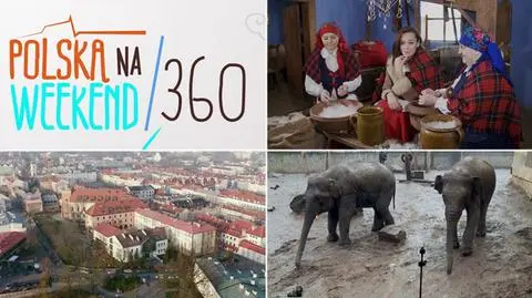 Co polecają prowadzący?