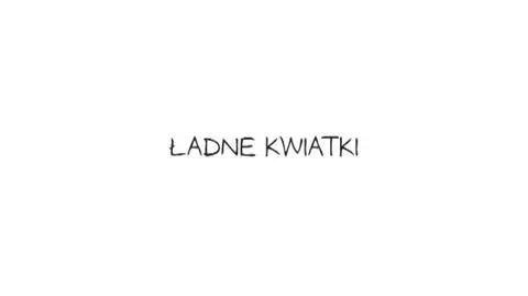 Ładne kwiatki