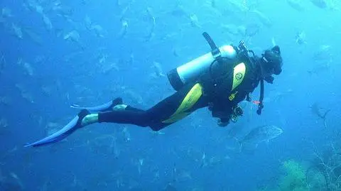 Podwodni bodyguardzi ochronią polityka