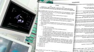 Co znajduje się w projekcie?