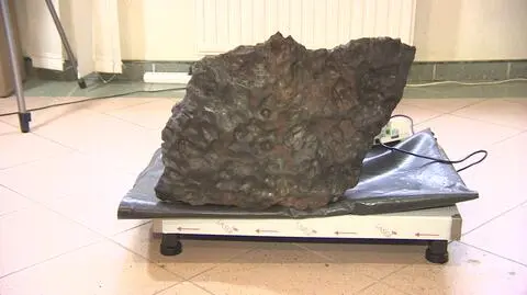 Największy polski meteoryt waży ponad 260 kg  