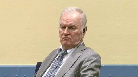 Mladić jest sądzony m.in. za zamordowanie ponad ośmiu tysięcy muzułmanów w Srebrenicy w 1995 roku