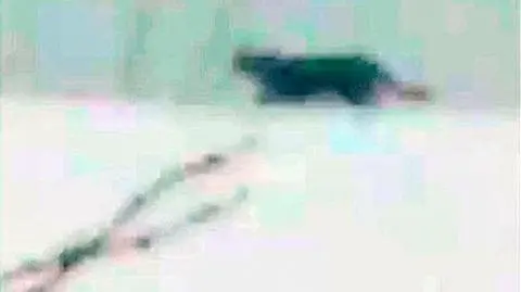 Widziałeś bestię - zadzwoń!