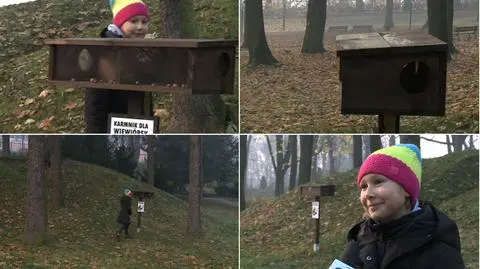 Częstochowa. Postawili karmniki dla wiewiórek pomysłu 9-letniej Ali