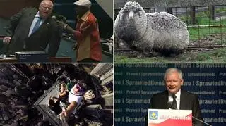 Oto nasze propozycje wideo tygodnia