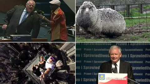 Radość prezesa PiS, drastyczne Ice Bucket Challenge czy atak na ciężarną? Wybierz wideo tygodnia