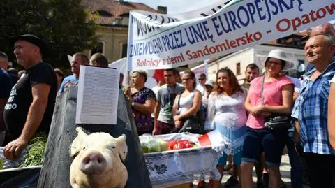 Rolnicy protestowali podczas konwencji PiS w Sandomierzu
