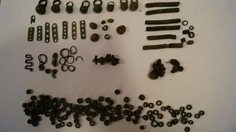Biżuterię z epoki brązu znaleziono w pobliżu Sulęcina