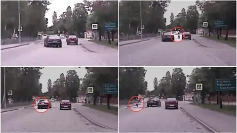 Wyprzedzał na przejściu dla pieszych, potrącił dziewczynkę