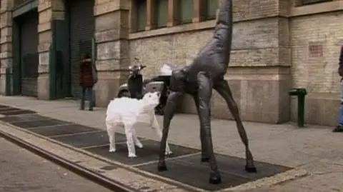 Nowojorska awangarda