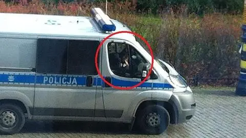 Na sygnale po kebaba? 
Policja: "To była interwencja"
