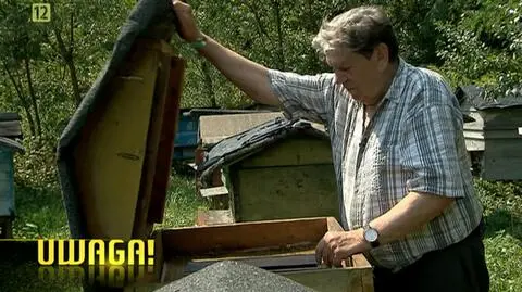 Mieczysław Jamróz jest mistrzem pszczelarskim z 65-letnim doświadczeniem