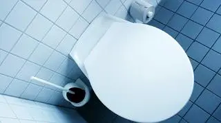 Nie ma to jak pomysłowość. Do ataku użyć... sedesu
