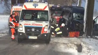 Bus uderzył w drzewo na prostym odcinku drogi w Kościeleczkach
