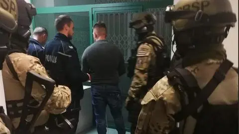 "Misiek" was brought to Poland from Italy on a plane with maximum security